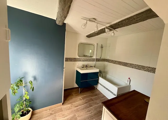 Charmante Maison Dans Un Hameau Paisible Salasc